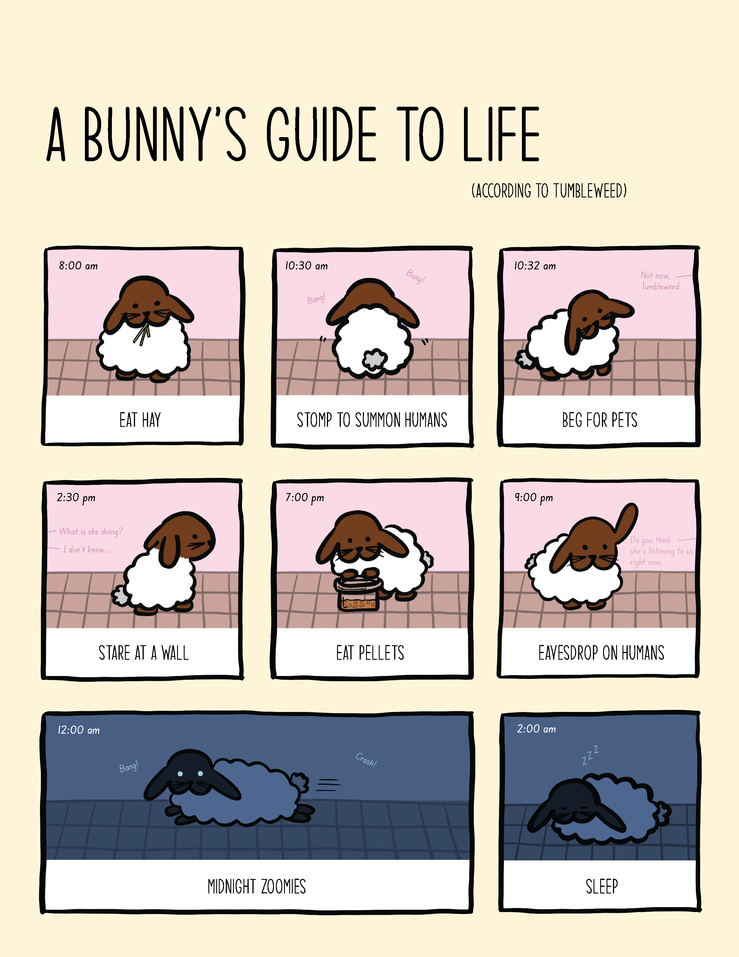 Bunny's Guide to Life